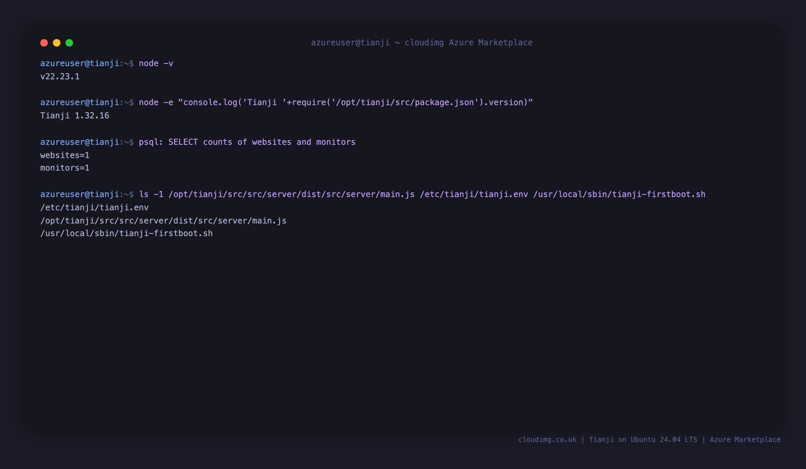 The Node.js version, the pinned Tianji 1.32.16 version, the seeded demo website and monitor counts, and the installed Tianji component paths
