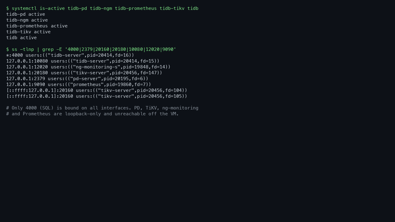 TiDB services active and their listening sockets