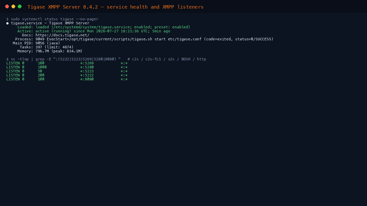 Tigase service health and XMPP listeners in the terminal