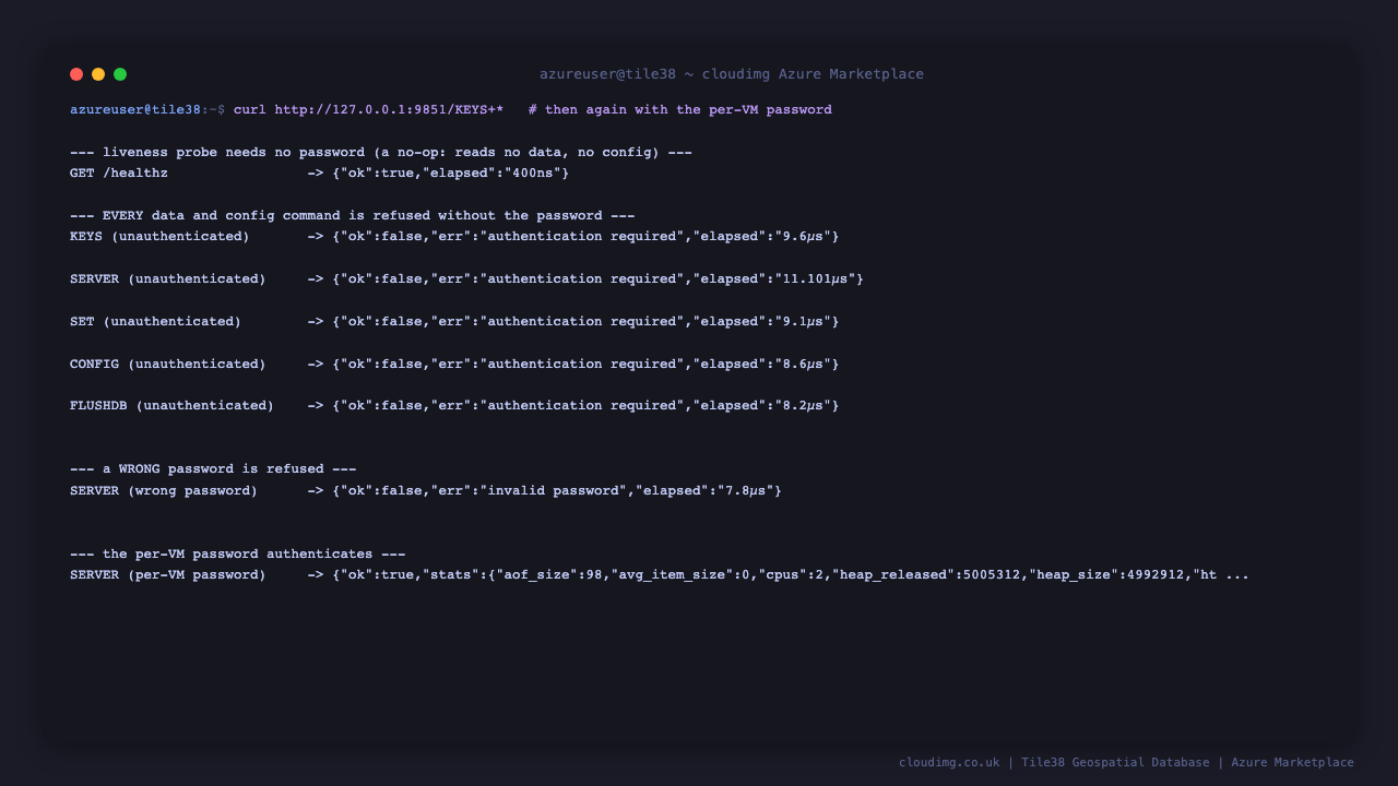healthz returning ok, unauthenticated KEYS and SET both refused with authentication required, and the authenticated SERVER command returning version 1.38.0