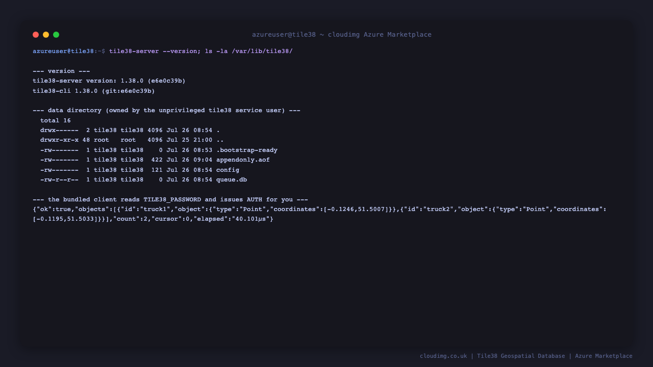 tile38-server version 1.38.0 and the data directory listing showing config, appendonly.aof and queue.db owned by the tile38 service user