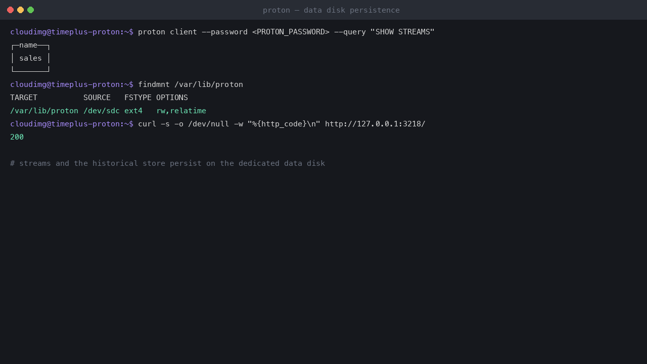 Timeplus Proton stream list and persistent state on the data disk