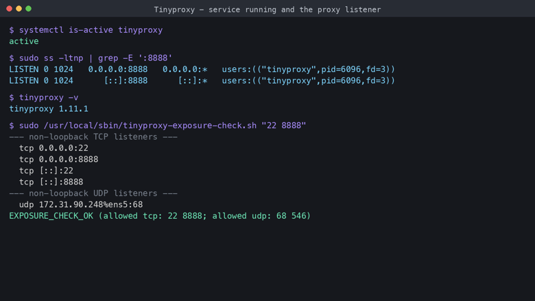The Tinyproxy service running and the restricted listener on the proxy port