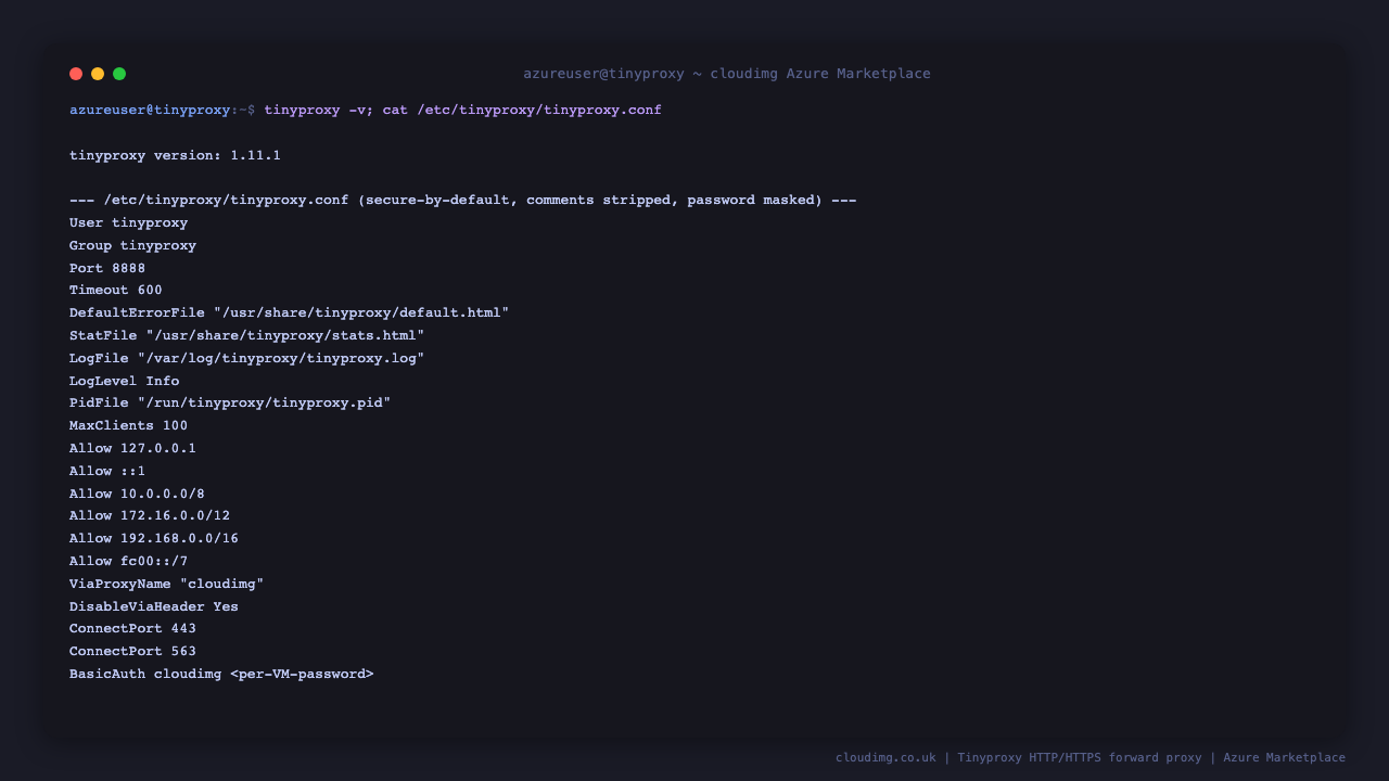 tinyproxy version 1.11.1 reported and the tinyproxy.conf listing shows the Allow ACLs restricted to localhost and private ranges, the 8888 listener, CONNECT restricted to the TLS ports 443 and 563, the disabled Via header, and the per-VM BasicAuth line