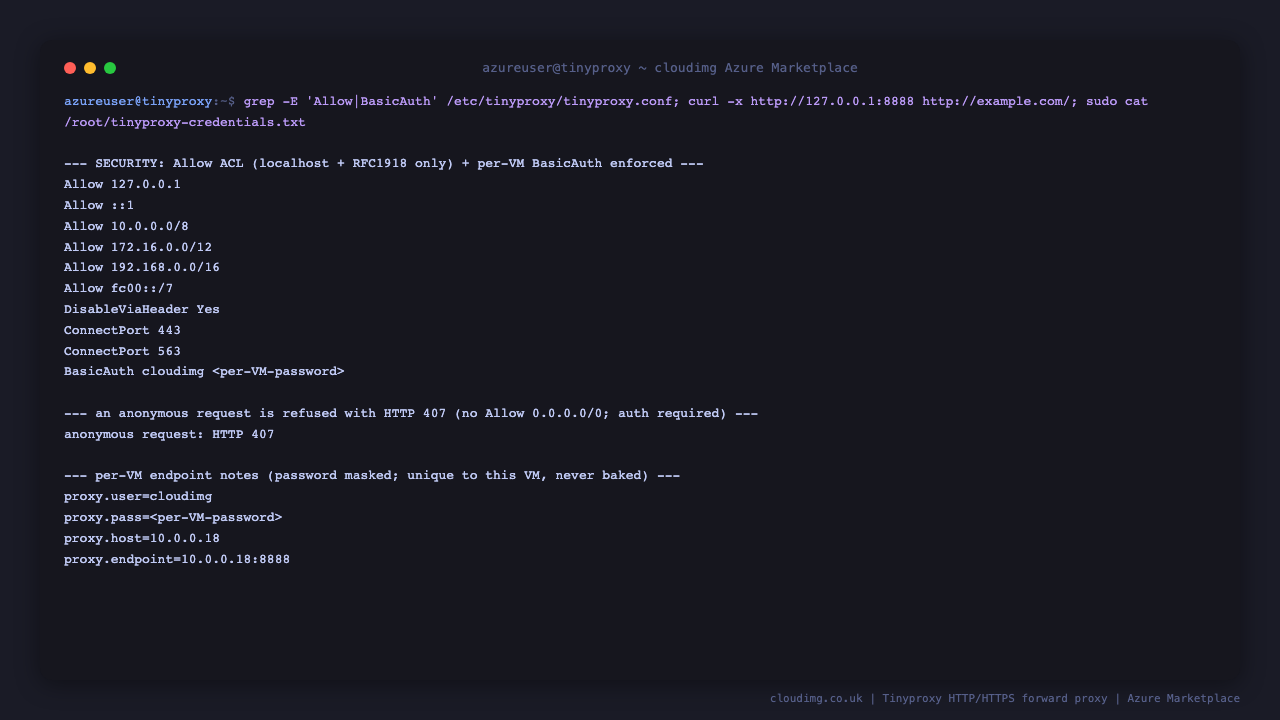 The Allow rules show only localhost and the private RFC1918 ranges with the per-VM BasicAuth line, an anonymous request is refused with HTTP 407, and the per-VM endpoint notes list the proxy user, host and port, confirming the proxy is not open and enforces authentication