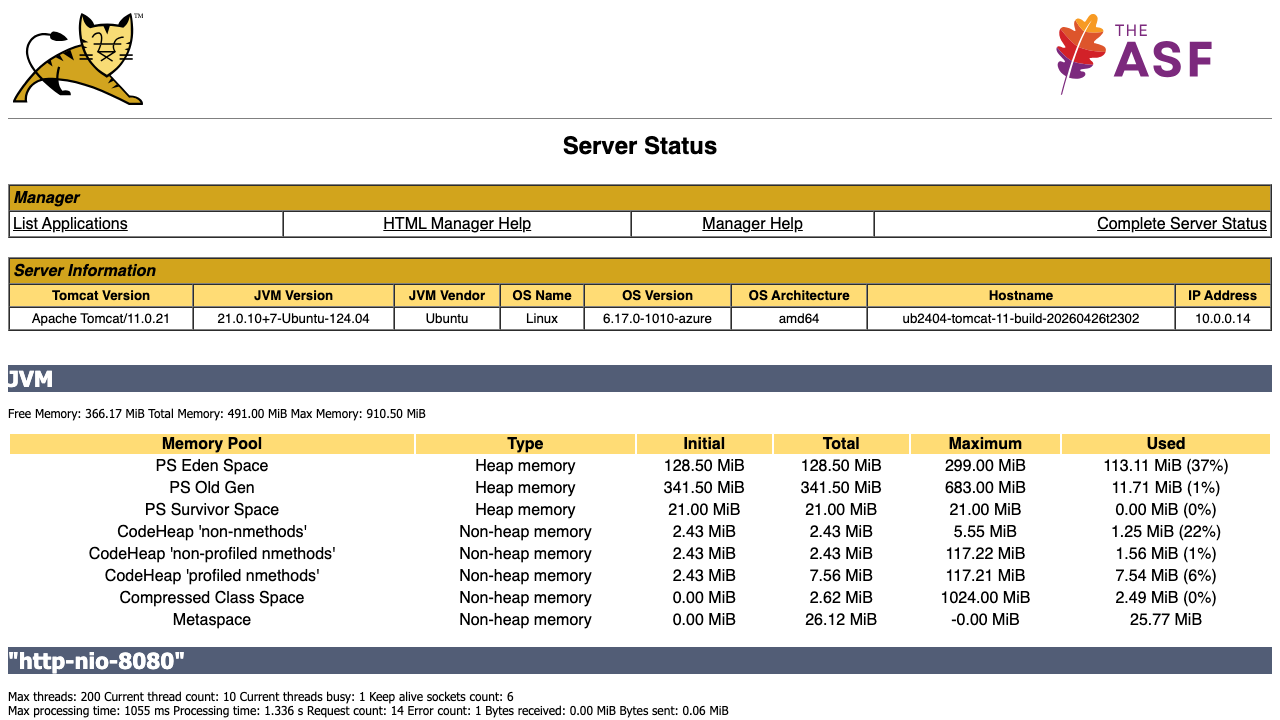 Tomcat /manager/status page showing JVM memory pools (Heap, Non-Heap, Metaspace, Code Cache), HTTP/1.1 connector stats, thread pool state, and request processing metrics