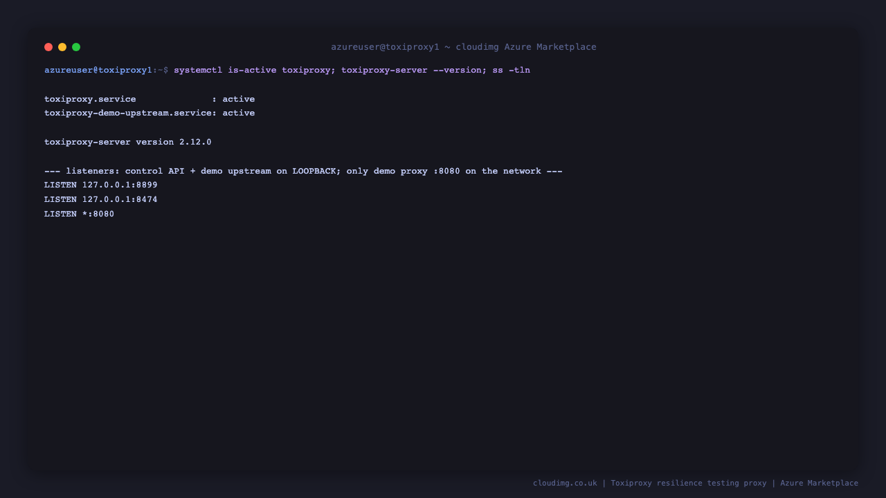 The toxiproxy and demo upstream services report active under systemd showing toxiproxy version 2.12.0, and the listener table shows the control API and demo upstream bound to the loopback address while only the demo proxy on port 8080 is reachable on the network