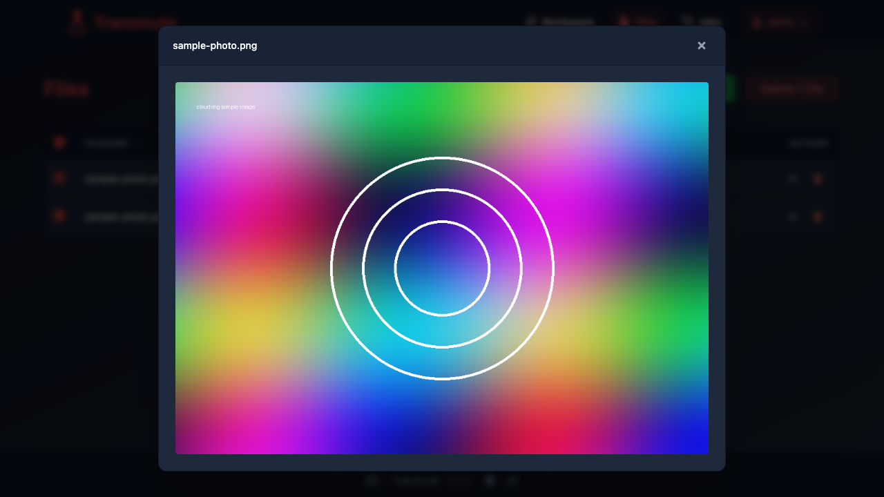 The Transmute preview modal rendering an image file in the browser, confirming the converted output is a genuine image rather than an empty or corrupt file