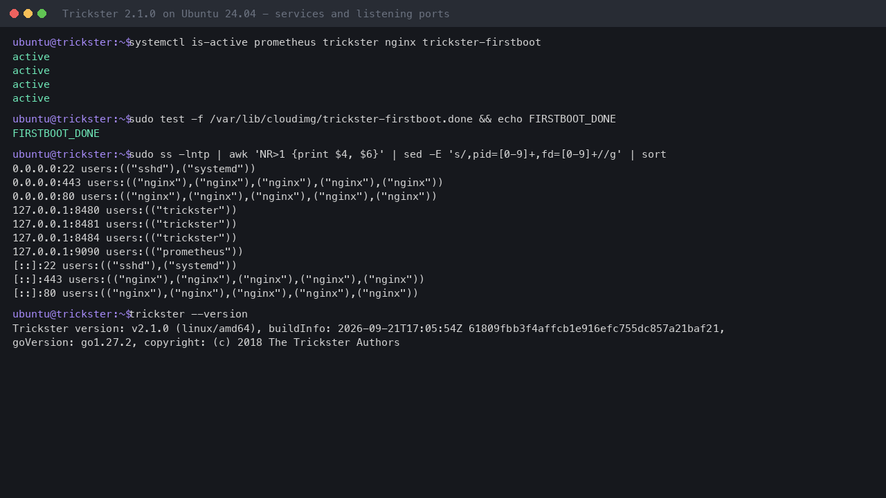 Prometheus, Trickster, nginx and the boot service active, with only SSH and nginx on network ports and Trickster and Prometheus on the loopback address