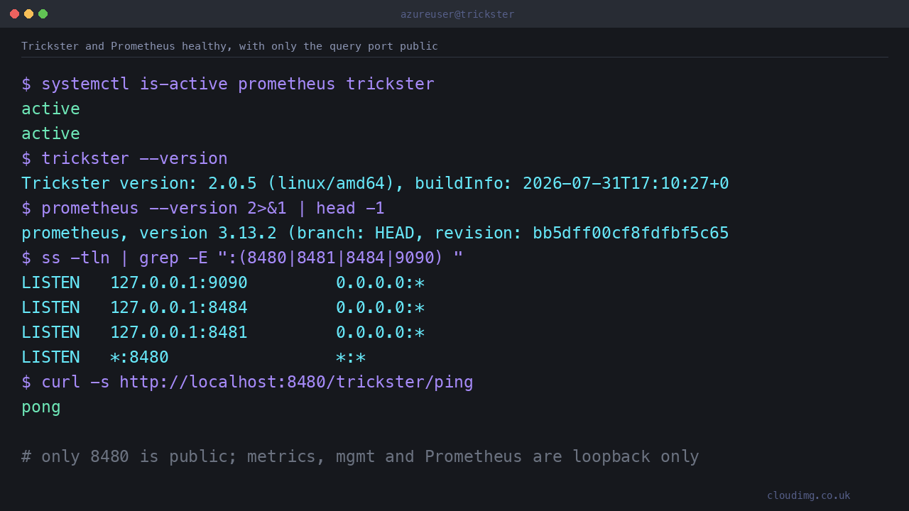 Trickster and Prometheus both reporting active under systemd, with only the accelerated query port bound to all interfaces and the metrics, management and Prometheus ports bound to loopback