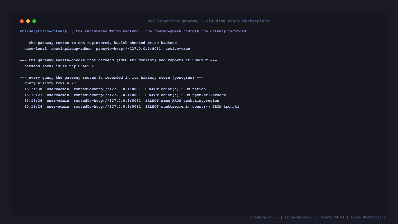 Registered backend and the routed-query history recorded by the gateway