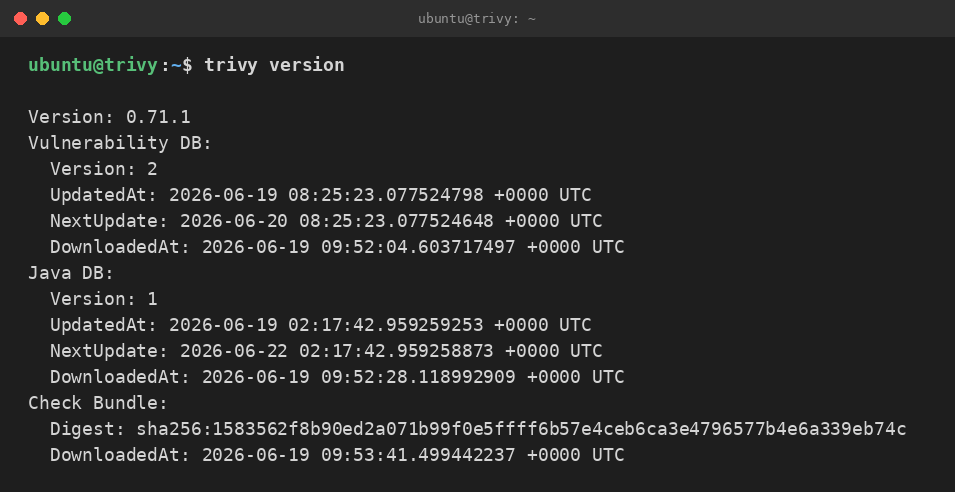 The preinstalled trivy command line reporting the version and the bundled vulnerability database metadata
