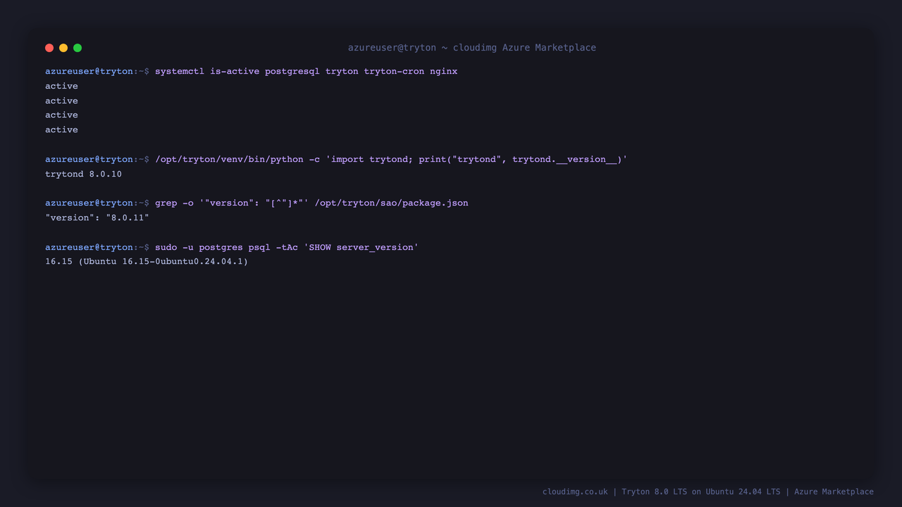 The Tryton services, releases and PostgreSQL version on a running VM
