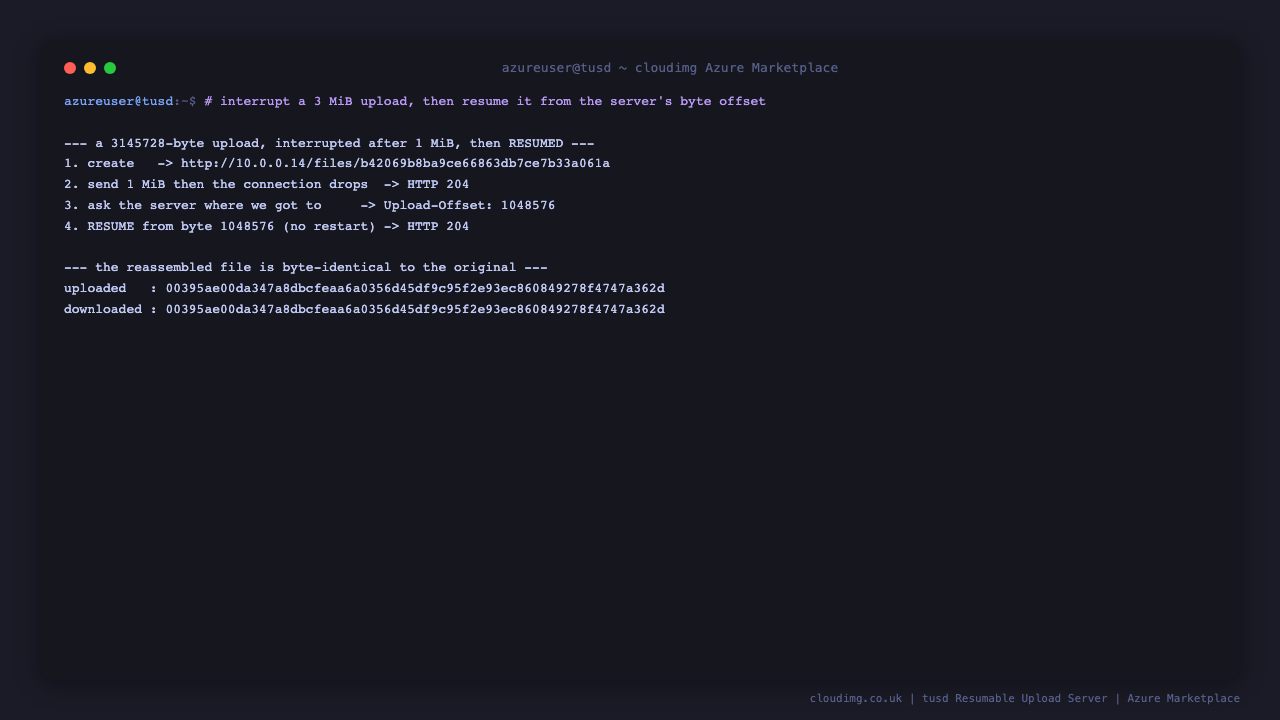 A 3145728-byte upload created, interrupted after 1 MiB, the server reporting Upload-Offset 1048576, the upload resumed from that byte offset without restarting, and matching sha256 checksums proving the reassembled file is byte identical