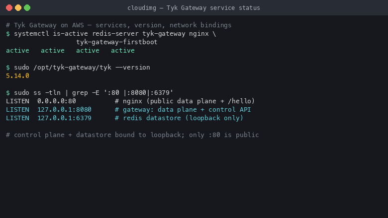 The redis-server, tyk-gateway and nginx services active under systemd, with the Tyk Gateway reporting version 5.14.0 and the gateway and Redis bound to loopback while nginx serves port 80