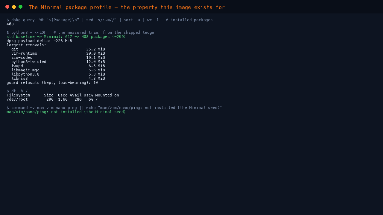 The terminal shows the installed package count of 408, the measured trim of 209 packages against the standard image from the shipped ledger with the largest removals listed, and df reporting a lean root filesystem