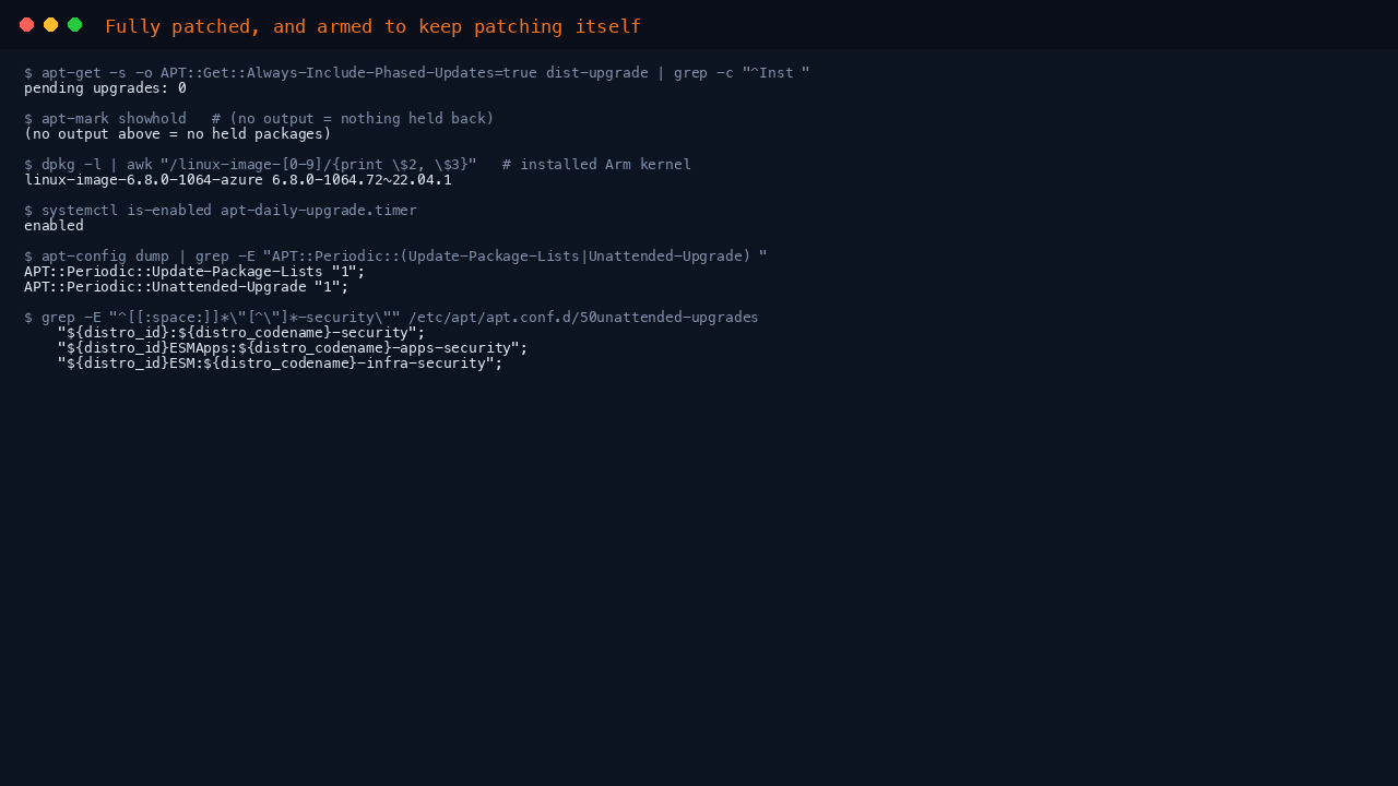 The terminal shows a simulated dist-upgrade reporting zero pending upgrades including phased updates, apt-mark showhold returning nothing so no packages are held, and dpkg listing the installed linux-image azure kernel package for the Arm build