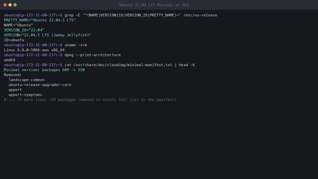 Terminal output showing os-release reporting Ubuntu 22.04.5 LTS Jammy Jellyfish, uname reporting the x86_64 AWS kernel, dpkg reporting amd64, and the head of the shipped Minimal manifest: packages 609 to 550