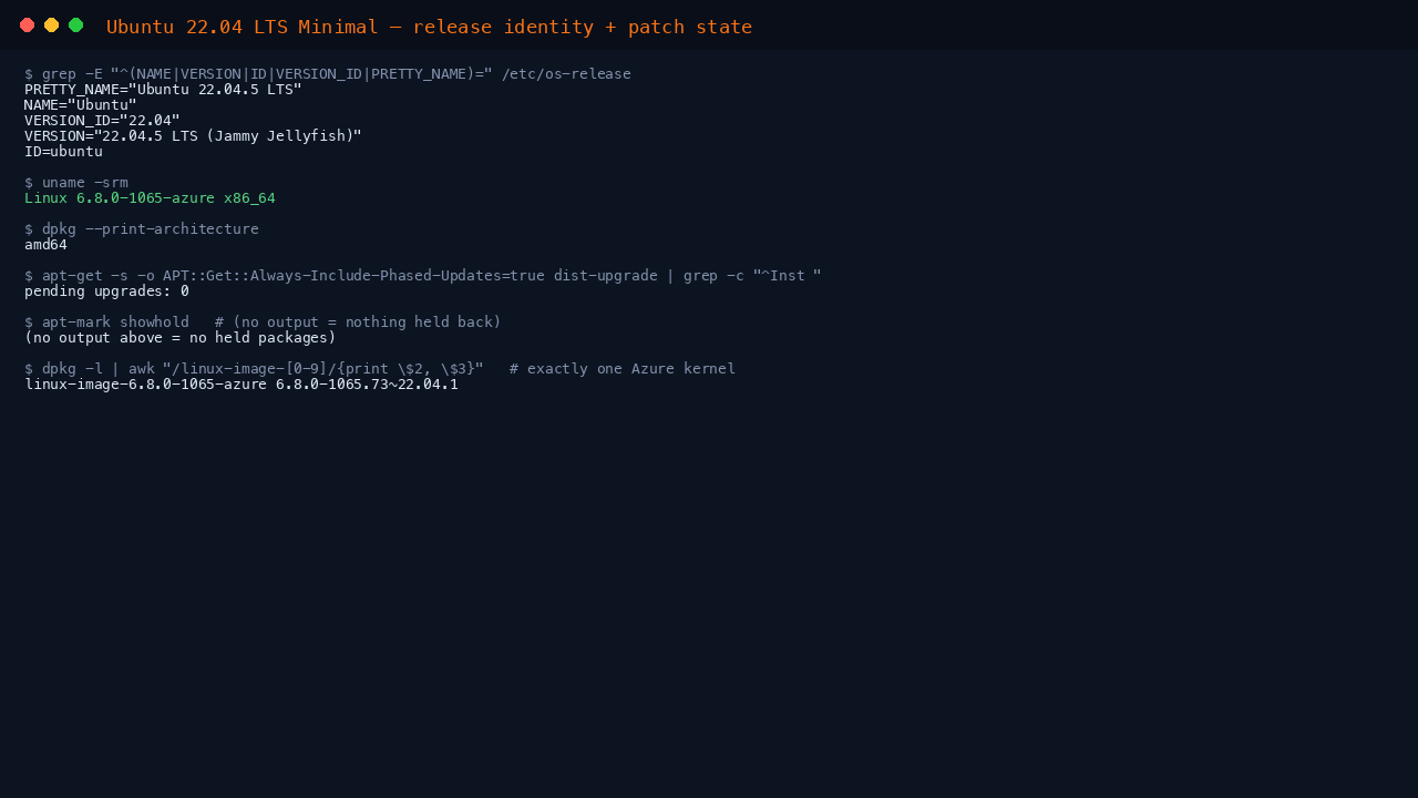The terminal shows the os-release fields reporting NAME Ubuntu, VERSION 22.04.5 LTS Jammy Jellyfish, ID ubuntu and VERSION_ID 22.04, uname reporting an x86_64 azure kernel, and dpkg print-architecture reporting amd64