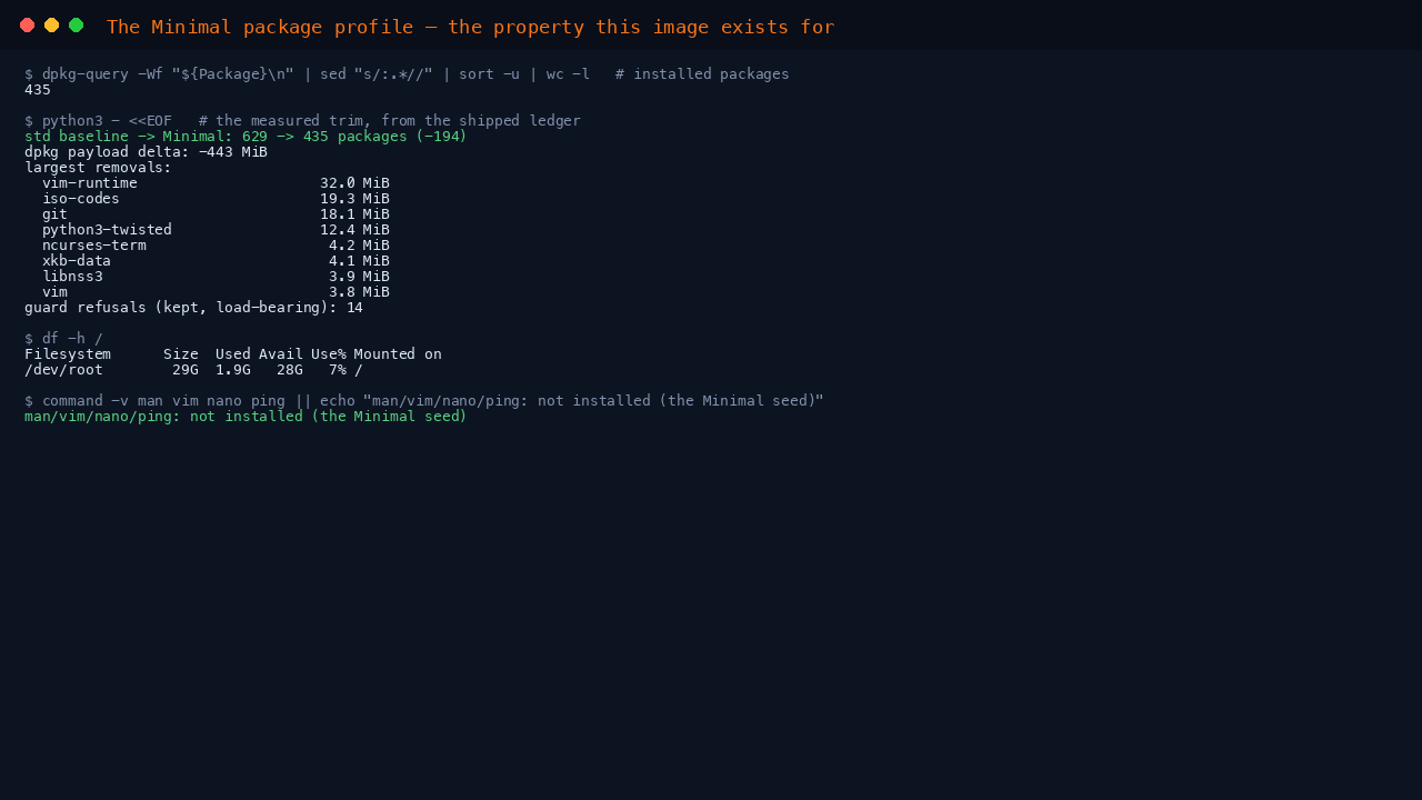 The terminal shows the installed package count of 435, the measured trim of 194 packages against the standard image from the shipped ledger with the largest removals listed, and df reporting a lean root filesystem