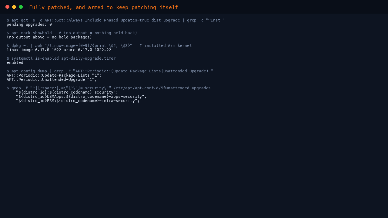 The terminal shows a simulated dist-upgrade reporting zero pending upgrades including phased updates, apt-mark showhold returning nothing so no packages are held, and dpkg listing the installed linux-image azure kernel package for the Arm build