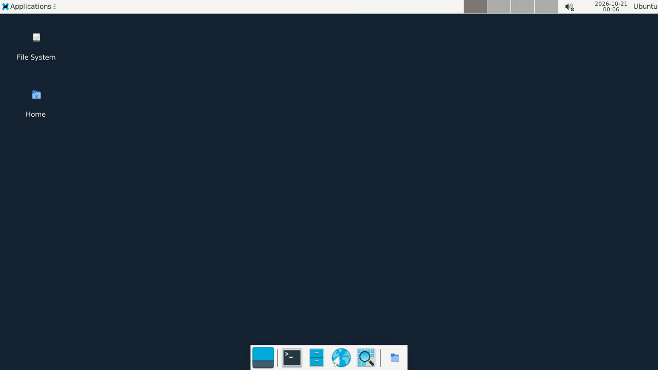 The XFCE desktop in a remote session, with the Applications menu and clock in the top panel, the File System and Home icons on the desktop, and the application dock along the bottom