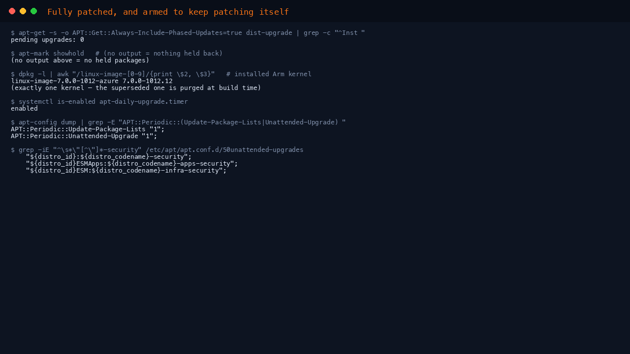 The terminal shows a simulated dist-upgrade reporting zero pending upgrades including phased updates, apt-mark showhold returning nothing so no packages are held, and dpkg listing a single installed linux-image azure kernel package for the Arm build