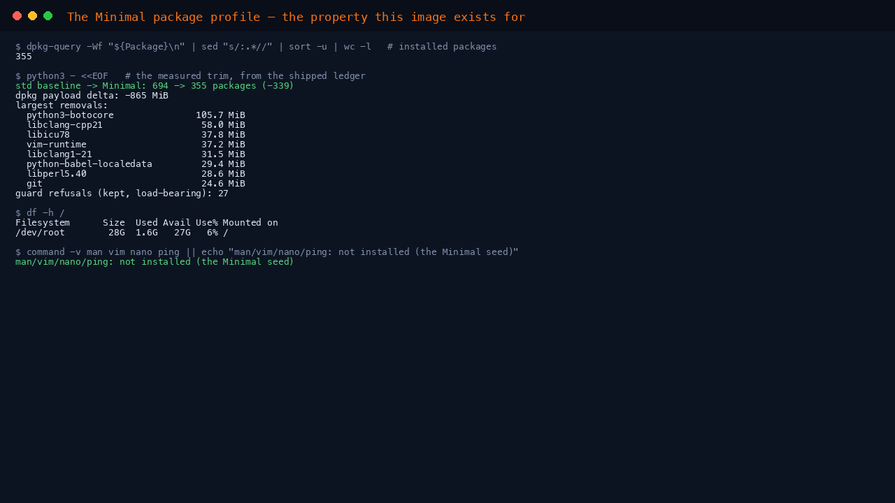 The terminal shows the installed package count of 355, the measured trim of 339 packages against the standard image from the shipped ledger with the largest removals listed, and df reporting a lean root filesystem
