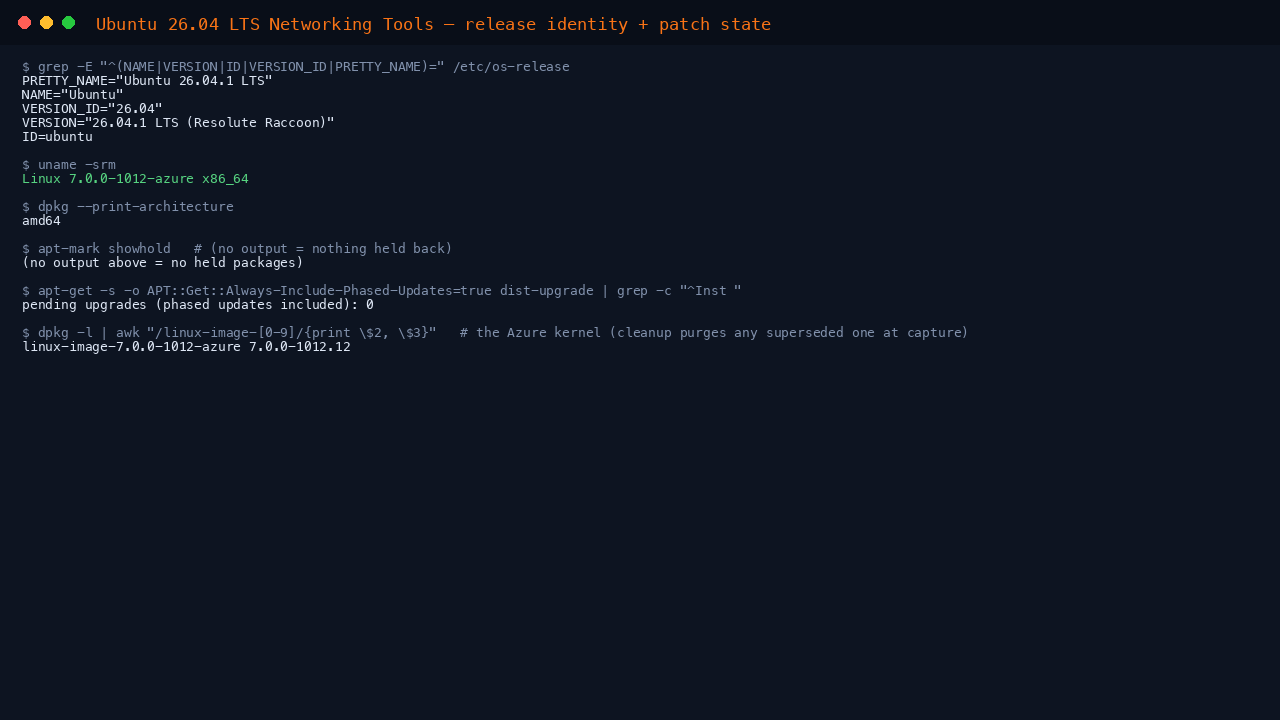 The terminal shows the os-release fields reporting Ubuntu 26.04.1 LTS Resolute Raccoon with VERSION_ID 26.04, uname reporting an x86_64 Azure kernel, dpkg print-architecture reporting amd64, no held packages and zero pending upgrades with phased updates included