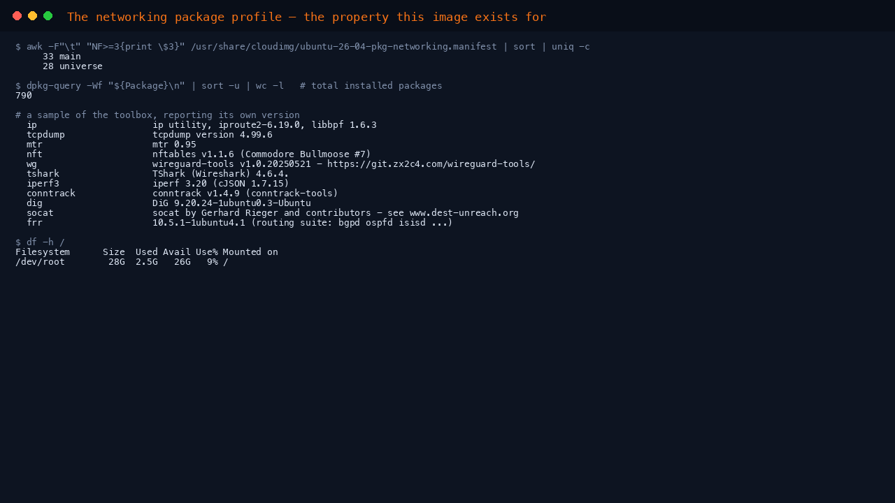 The terminal shows the manifest reporting 33 main and 28 universe packages, 799 packages installed in total, a sample of the toolbox each reporting its own version including iproute2, tcpdump, mtr, nftables, wireguard-tools, TShark, iperf3, conntrack, dig, socat and frr, and df reporting 25 GB free on the root filesystem
