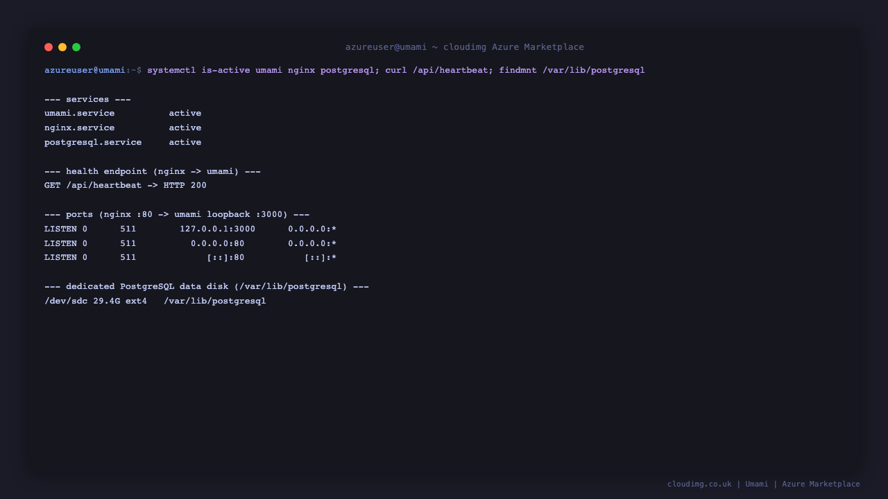 Umami services, health endpoint and the dedicated database data disk