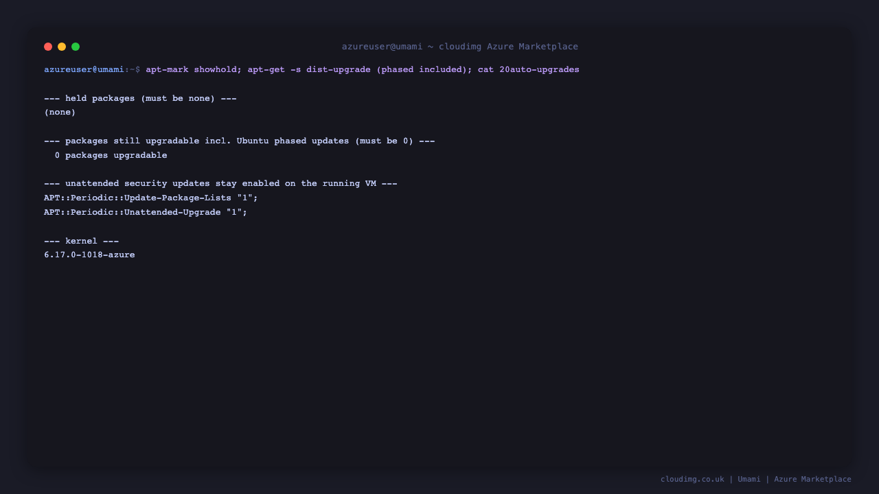 Fully patched OS security baseline with unattended upgrades enabled