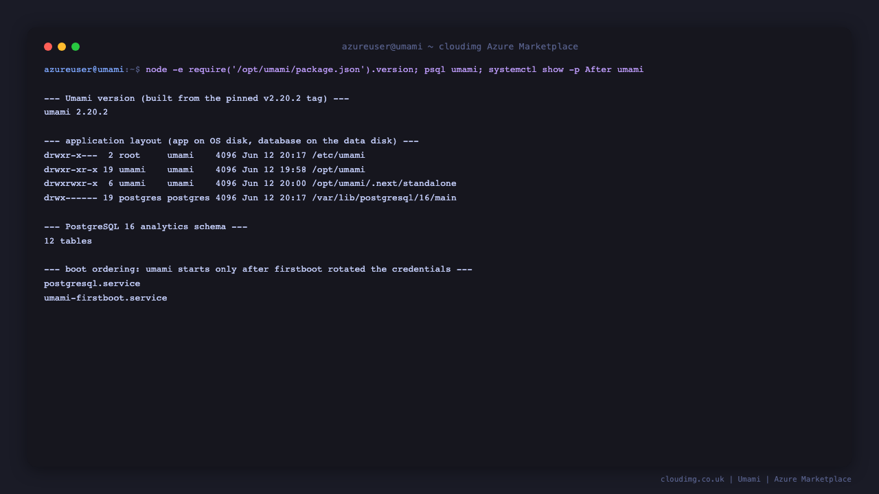 Application layout and the PostgreSQL data tier on its dedicated data disk