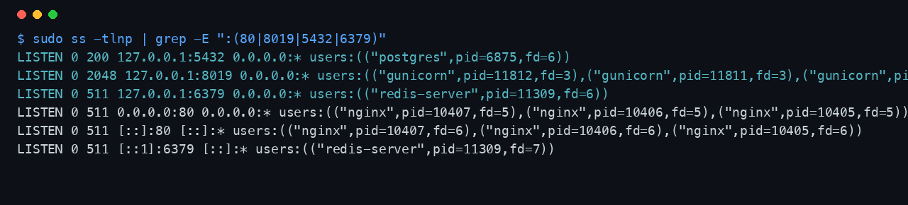 Terminal output showing gunicorn on 127.0.0.1:8019, PostgreSQL on 127.0.0.1:5432 and redis-server on 127.0.0.1:6379, with only nginx bound to port 80