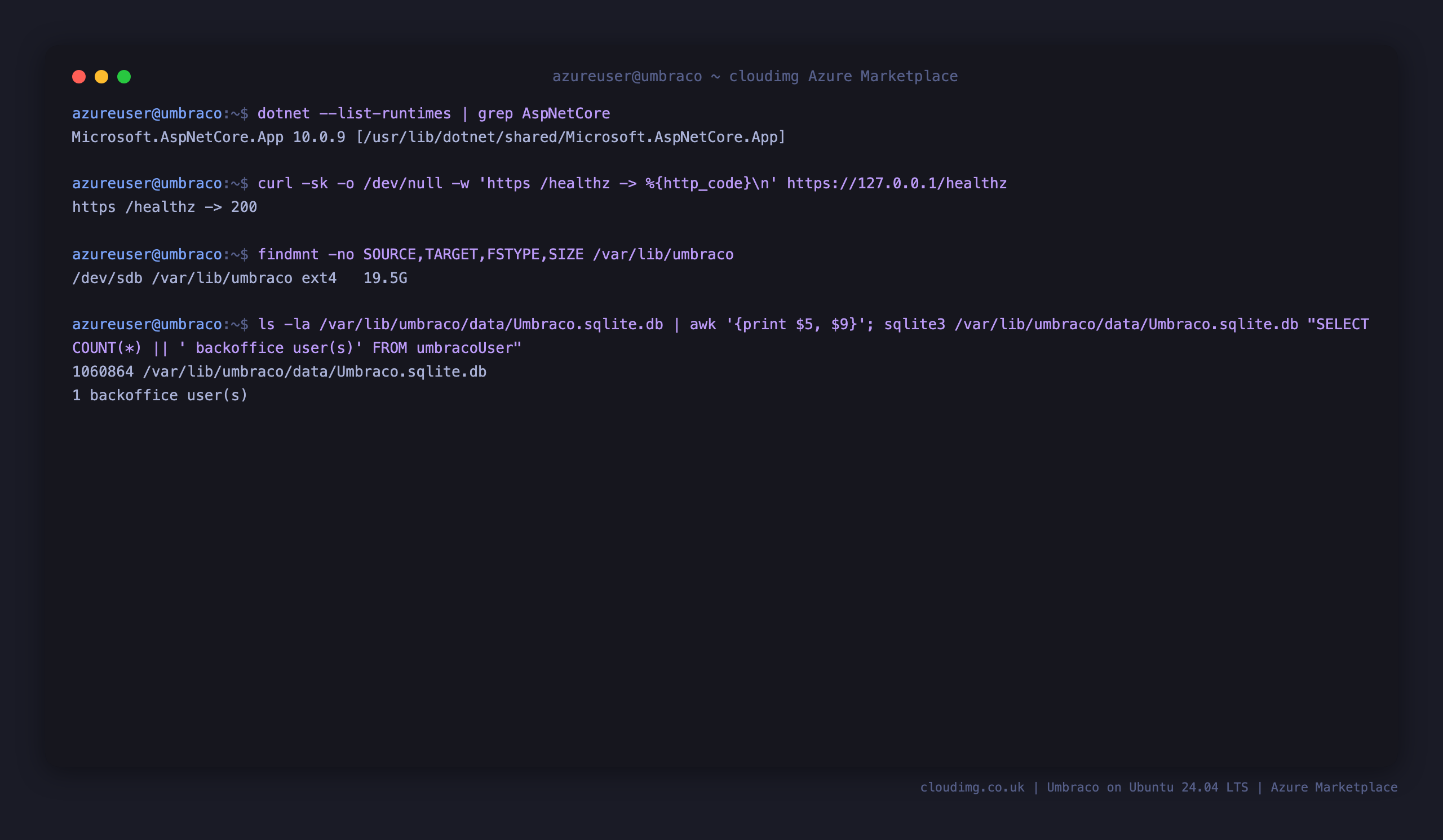 The ASP.NET Core 10 runtime present, the https healthz endpoint returning 200, the ext4 data disk mounted at /var/lib/umbraco and the SQLite database with its backoffice user count