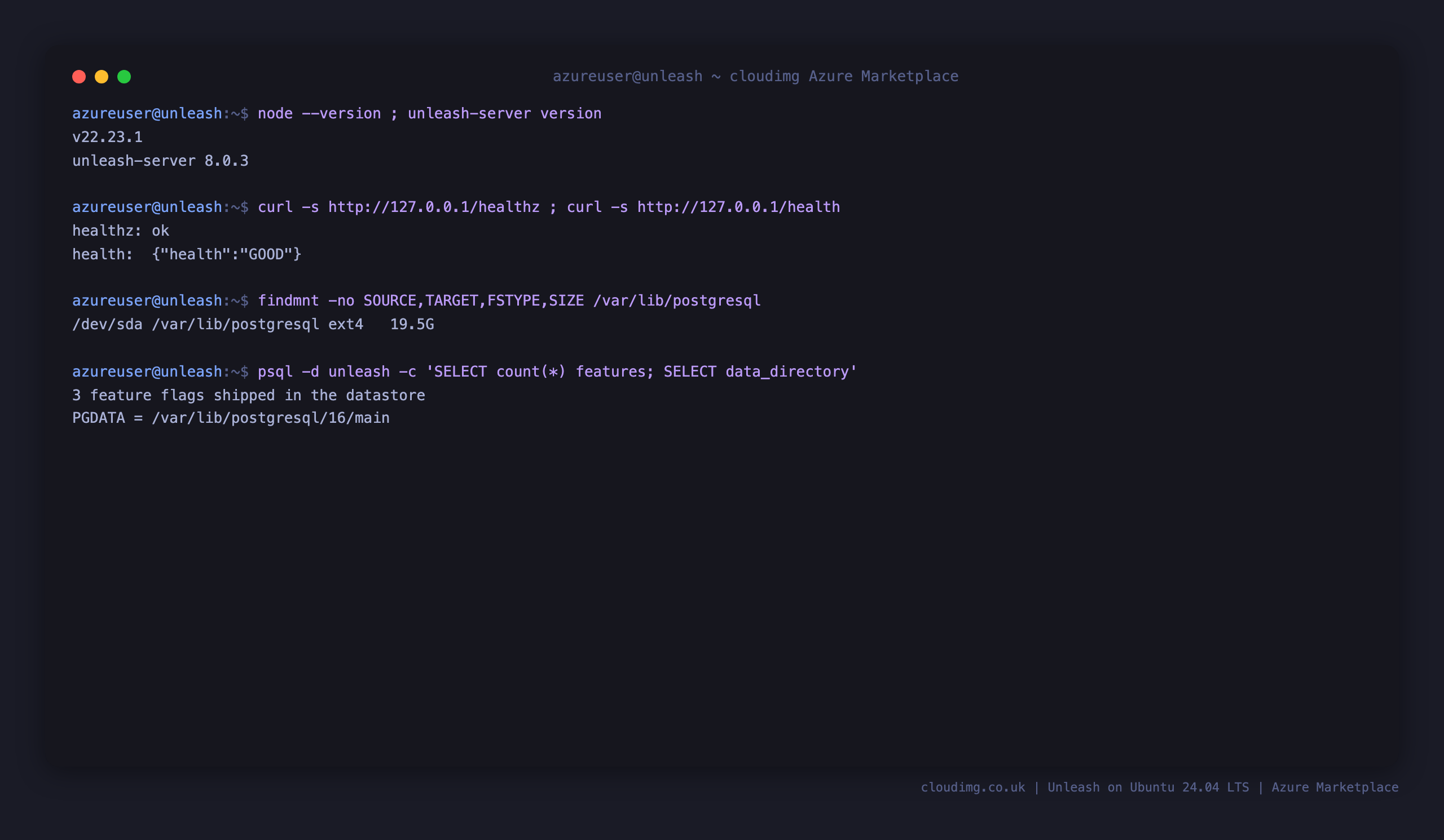 The Node and Unleash versions, the healthz and health endpoints, and the dedicated PostgreSQL data disk