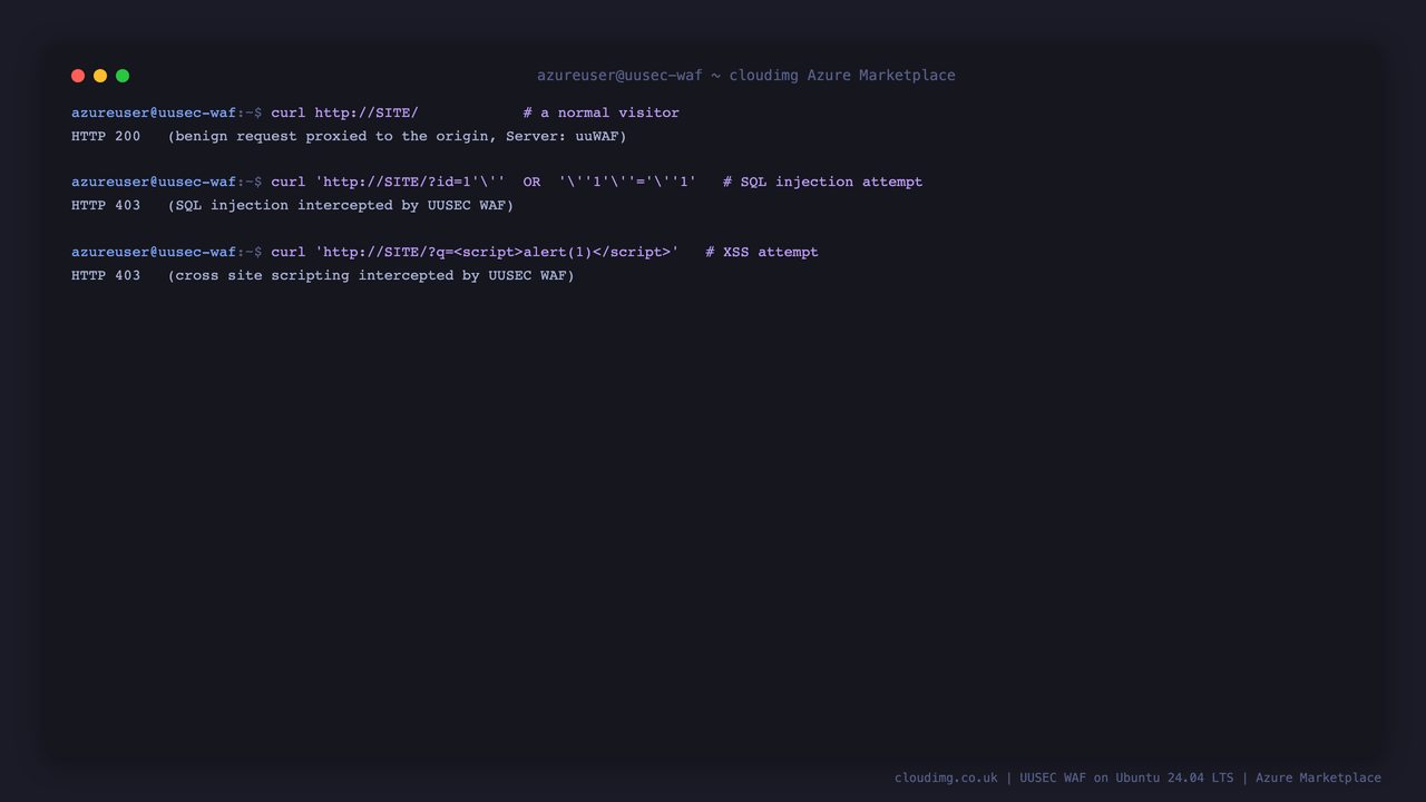 A benign request returns HTTP 200 while SQL injection and cross site scripting probes are intercepted with HTTP 403