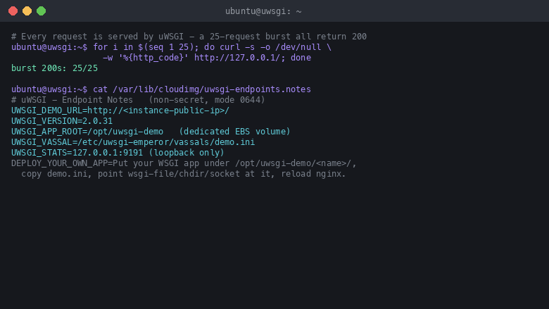 a 25-request burst all returning 200, and the endpoints notes file documenting the demo URL, the uWSGI version, the app root, the vassal and the loopback stats server