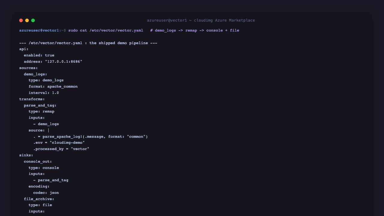 the shipped etc vector vector.yaml demo pipeline config showing the loopback api block on 127.0.0.1 8686, a demo_logs source in apache_common format, a remap transform that parses each event and adds the cloudimg-demo env marker, and console plus file sinks encoding json