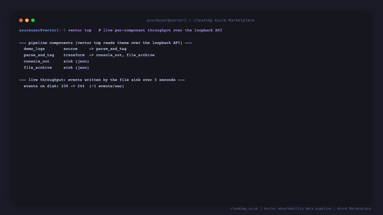 the vector top terminal dashboard reads the loopback graphql api and lists each pipeline component, the demo_logs source, the parse_and_tag transform and the console and file sinks, with the running count of events received and sent, and the file sink line count grows over five seconds confirming the pipeline is actively moving data