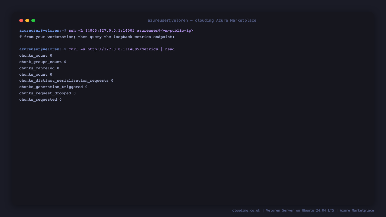 Veloren metrics over an SSH tunnel