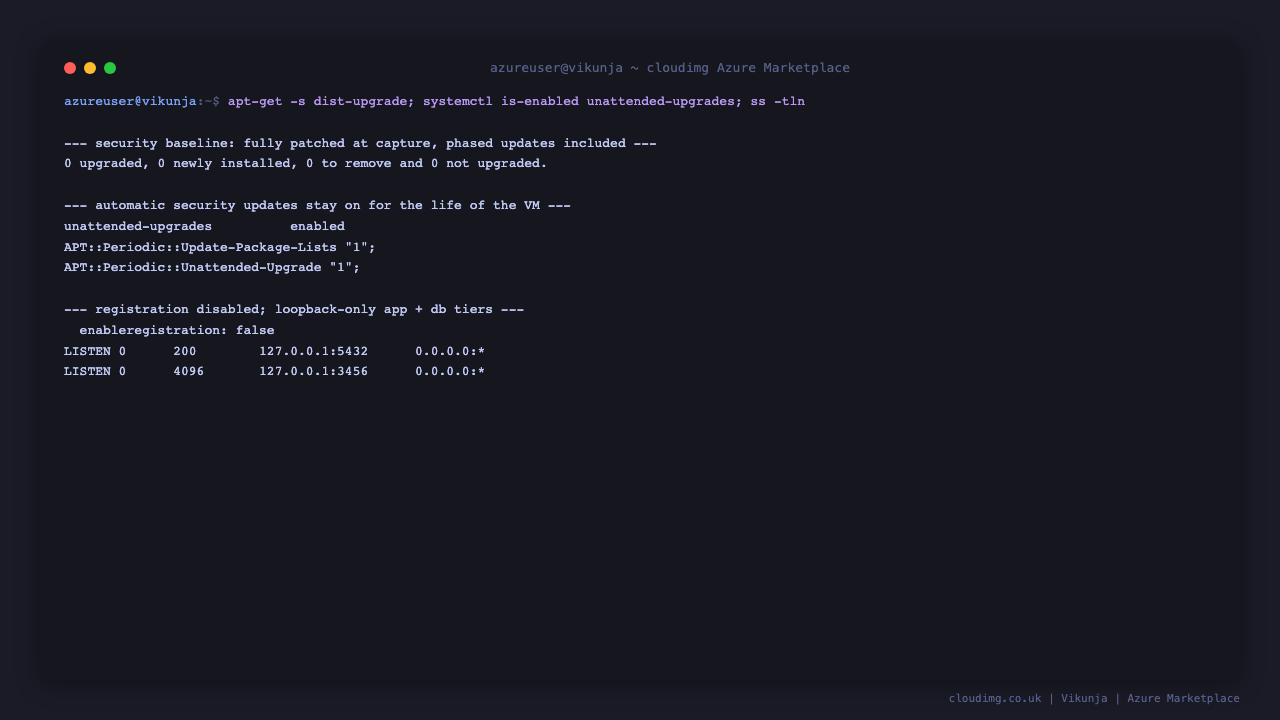 Security baseline — automatic updates and loopback-only services