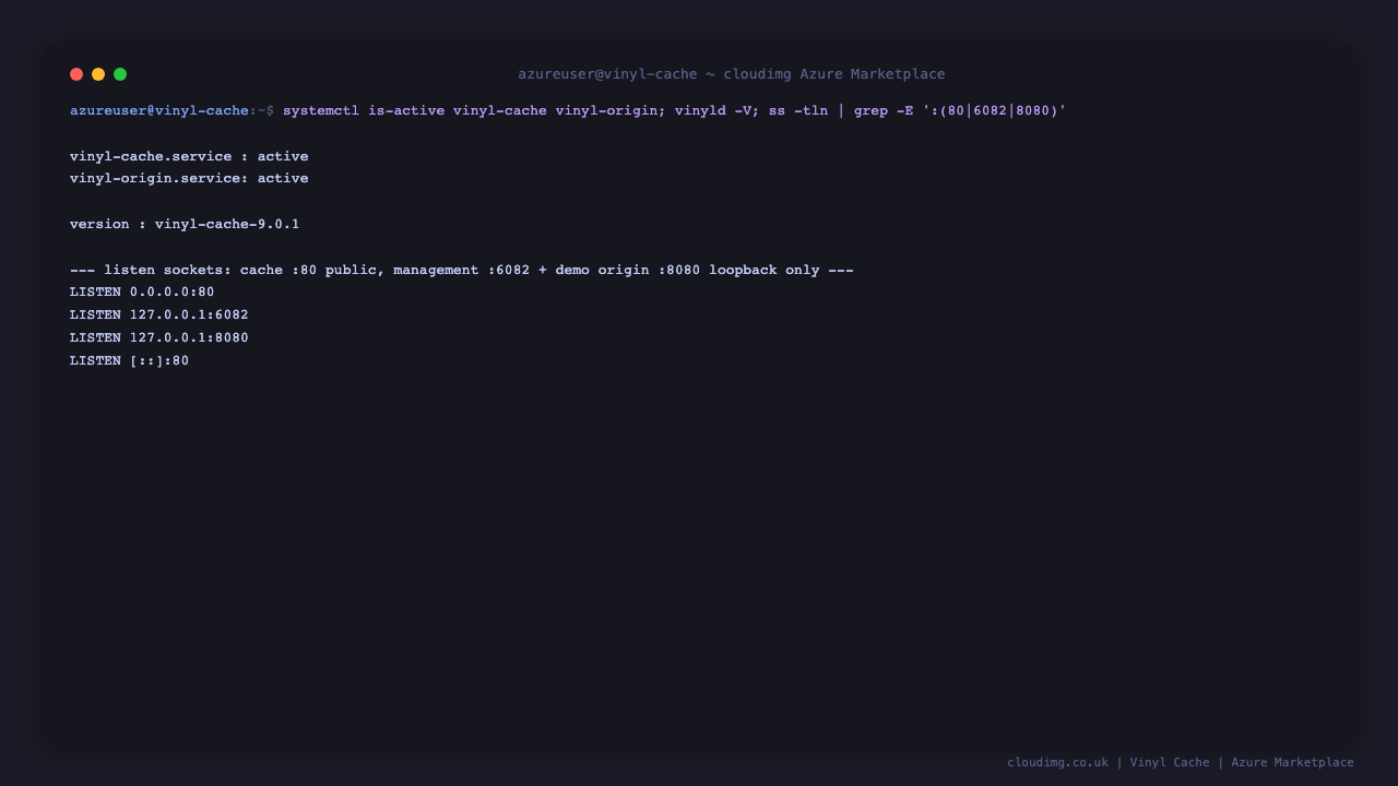 The vinyl-cache and vinyl-origin services are active and Vinyl Cache 9.0.1 is running, with the cache bound to port 80 on all interfaces and the management interface and demo origin bound to the loopback address only
