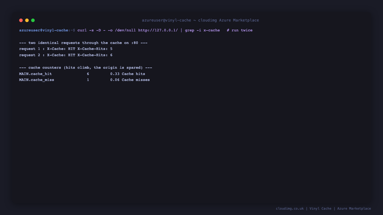 Two identical requests through the cache both return X-Cache: HIT with an incrementing X-Cache-Hits counter, and vinylstat shows the MAIN.cache_hit counter climbing, proving Vinyl Cache is serving responses from cache rather than the origin