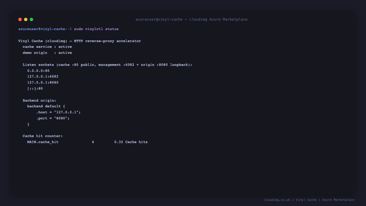 The vinylctl status command shows the cache and demo origin services active, the listen sockets, the current backend origin the cache forwards to, and the cache hit counter, all in one view