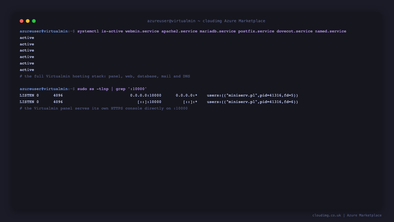 Virtualmin hosting stack service status