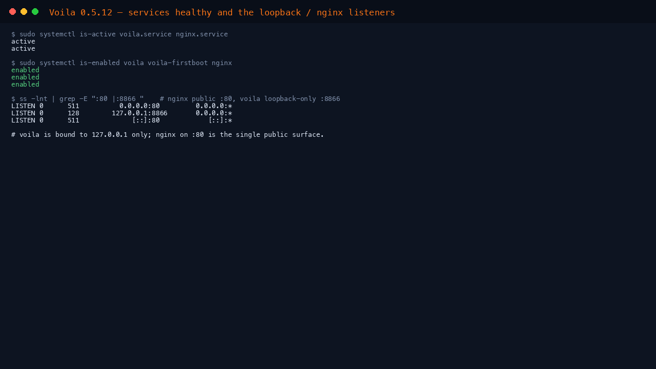 Voila and nginx services active with the loopback and public listeners