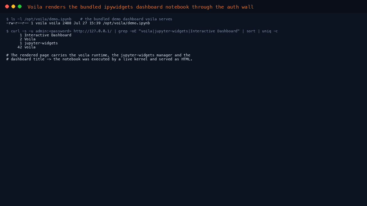 Voila rendering the bundled dashboard notebook through the auth wall