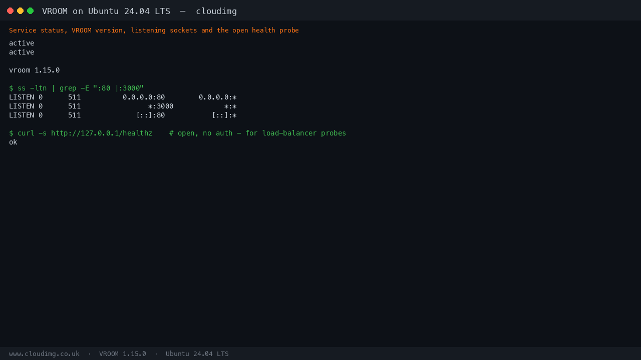 VROOM service status, version, listening sockets and the open health probe