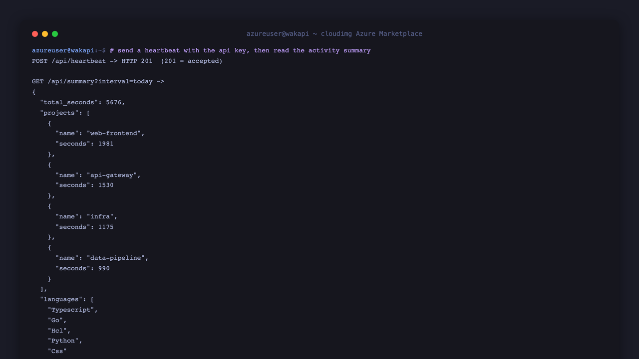 Sending a heartbeat with the API key returns HTTP 201, and the summary endpoint returns the total seconds and the list of projects logged today